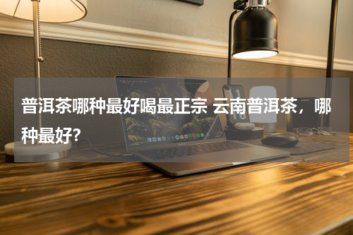普洱茶哪种最好喝最正宗 云南普洱茶，哪种最好？