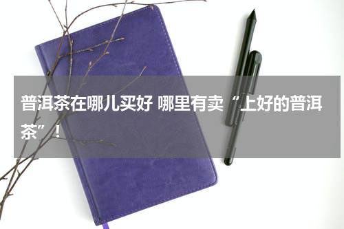普洱茶在哪儿买好 哪里有卖“上好的普洱茶”！