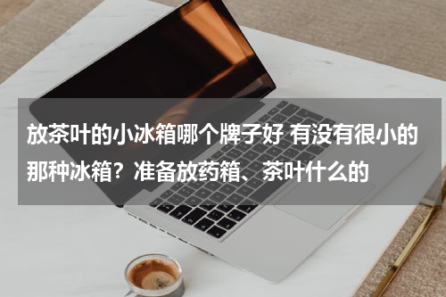 放茶叶的小冰箱哪个牌子好 有没有很小的那种冰箱？准备放药箱、茶叶什么的