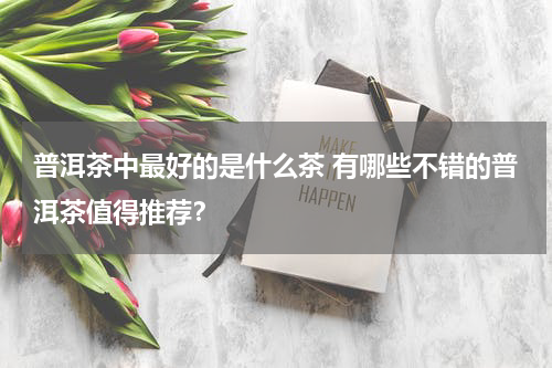 普洱茶中最好的是什么茶 有哪些不错的普洱茶值得推荐？