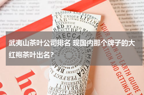 武夷山茶叶公司排名 现国内那个牌子的大红袍茶叶出名？