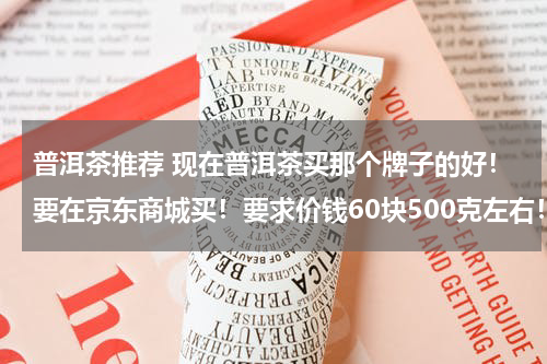 普洱茶推荐 现在普洱茶买那个牌子的好！要在京东商城买！要求价钱60块500克左右！