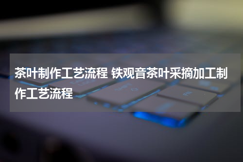 茶叶制作工艺流程 铁观音茶叶采摘加工制作工艺流程