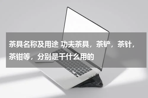 茶具名称及用途 功夫茶具，茶铲，茶针，茶钳等，分别是干什么用的