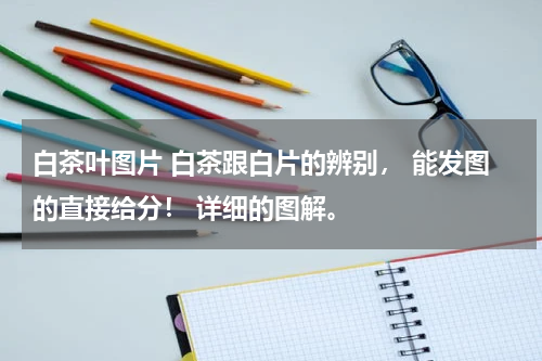 白茶叶图片 白茶跟白片的辨别， 能发图的直接给分！ 详细的图解。