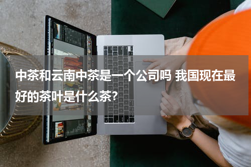 中茶和云南中茶是一个公司吗 我国现在最好的茶叶是什么茶？