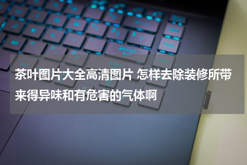茶叶图片大全高清图片 怎样去除装修所带来得异味和有危害的气体啊