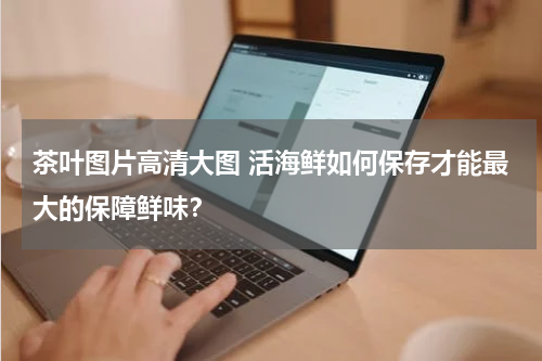茶叶图片高清大图 活海鲜如何保存才能最大的保障鲜味？