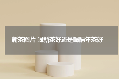 新茶图片 喝新茶好还是喝隔年茶好