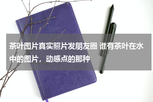 茶叶图片真实照片发朋友圈 谁有茶叶在水中的图片，动感点的那种