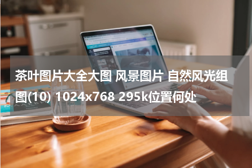 茶叶图片大全大图 风景图片 自然风光组图(10) 1024x768 295k位置何处