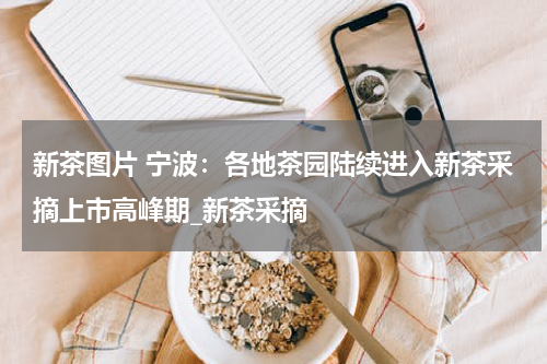 新茶图片 宁波：各地茶园陆续进入新茶采摘上市高峰期_新茶采摘