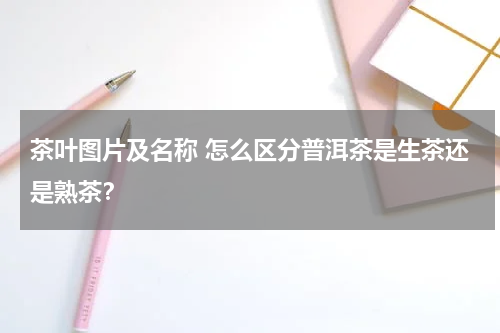 茶叶图片及名称 怎么区分普洱茶是生茶还是熟茶？