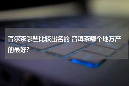 普尔茶哪些比较出名的 普洱茶哪个地方产的最好?