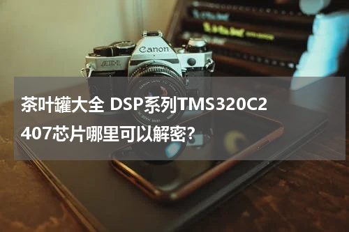 茶叶罐大全 DSP系列TMS320C2407芯片哪里可以解密？