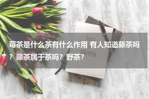 莓茶是什么茶有什么作用 有人知道藤茶吗？藤茶属于茶吗？野茶？