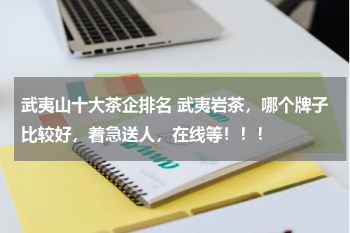 武夷山十大茶企排名 武夷岩茶，哪个牌子比较好，着急送人，在线等！！！