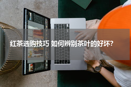 红茶选购技巧 如何辨别茶叶的好坏？