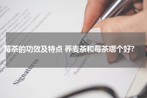 莓茶的功效及特点 荞麦茶和莓茶哪个好?