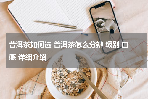 普洱茶如何选 普洱茶怎么分辨 级别 口感 详细介绍