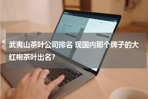 武夷山茶叶公司排名 现国内那个牌子的大红袍茶叶出名？