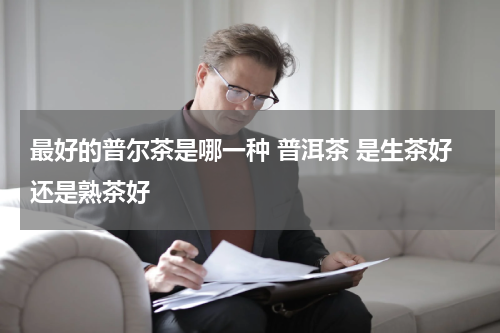 最好的普尔茶是哪一种 普洱茶 是生茶好还是熟茶好