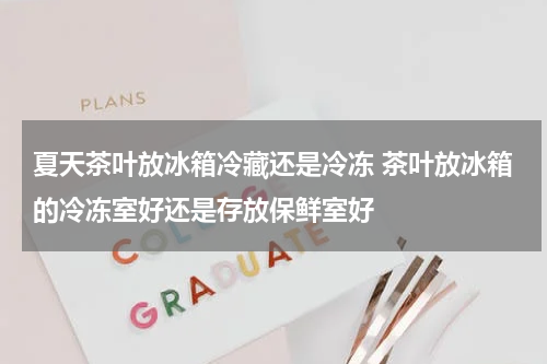 夏天茶叶放冰箱冷藏还是冷冻 茶叶放冰箱的冷冻室好还是存放保鲜室好
