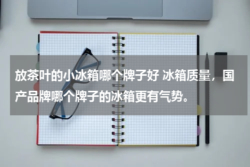 放茶叶的小冰箱哪个牌子好 冰箱质量，国产品牌哪个牌子的冰箱更有气势。
