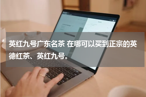 英红九号广东名茶 在哪可以买到正宗的英德红茶、英红九号。