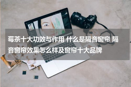 莓茶十大功效与作用 什么是隔音窗帘 隔音窗帘效果怎么样及窗帘十大品牌