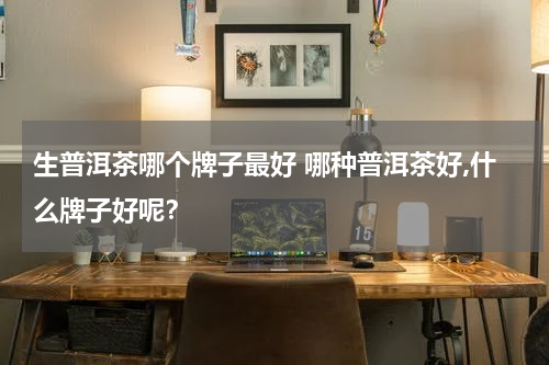 生普洱茶哪个牌子最好 哪种普洱茶好,什么牌子好呢？