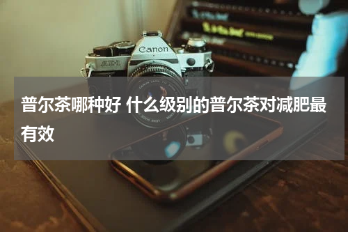 普尔茶哪种好 什么级别的普尔茶对减肥最有效