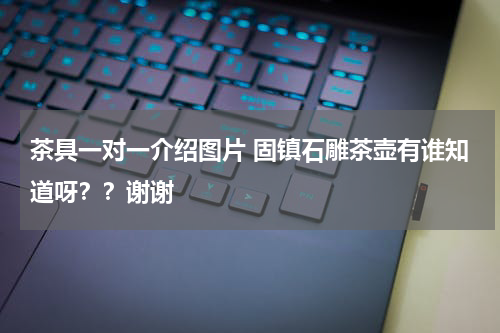茶具一对一介绍图片 固镇石雕茶壶有谁知道呀？？谢谢