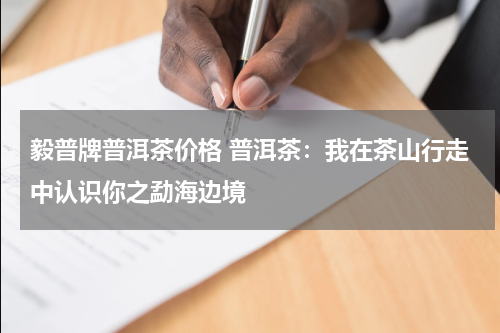 毅普牌普洱茶价格 普洱茶：我在茶山行走中认识你之勐海边境