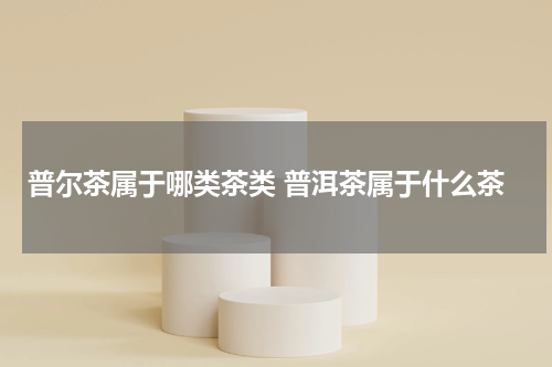 普尔茶属于哪类茶类 普洱茶属于什么茶