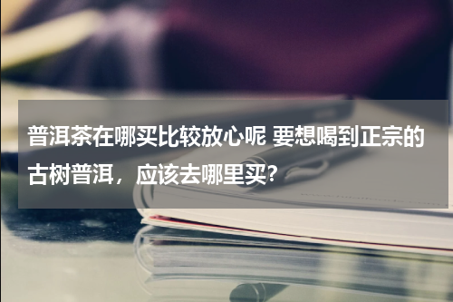 普洱茶在哪买比较放心呢 要想喝到正宗的古树普洱，应该去哪里买？