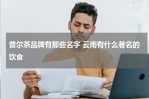 普尔茶品牌有那些名字 云南有什么著名的饮食