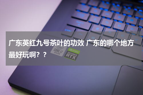 广东英红九号茶叶的功效 广东的哪个地方最好玩啊？？
