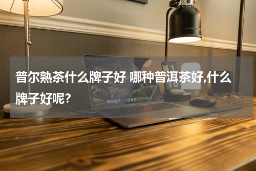 普尔熟茶什么牌子好 哪种普洱茶好,什么牌子好呢？