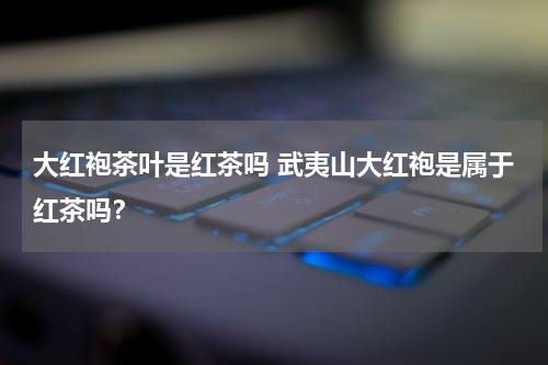 大红袍茶叶是红茶吗 武夷山大红袍是属于红茶吗？