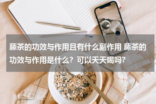藤茶的功效与作用且有什么副作用 藤茶的功效与作用是什么？可以天天喝吗?
