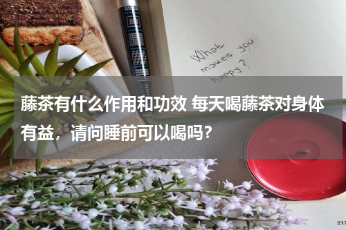藤茶有什么作用和功效 每天喝藤茶对身体有益，请问睡前可以喝吗？