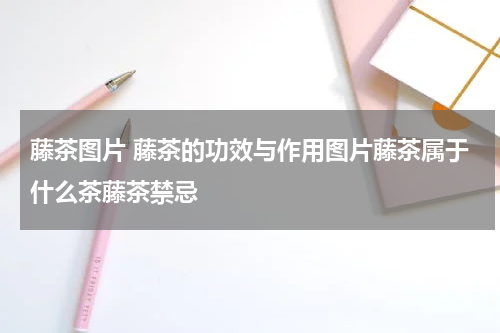 藤茶图片 藤茶的功效与作用图片藤茶属于什么茶藤茶禁忌