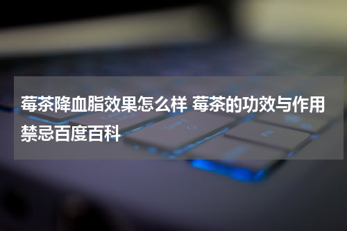 莓茶降血脂效果怎么样 莓茶的功效与作用禁忌百度百科